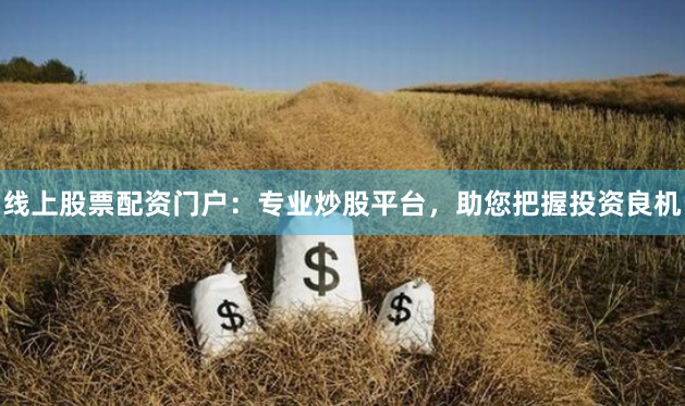 线上股票配资门户：专业炒股平台，助您把握投资良机