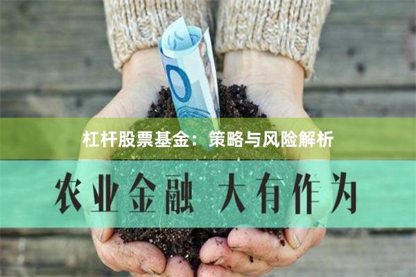 杠杆股票基金：策略与风险解析